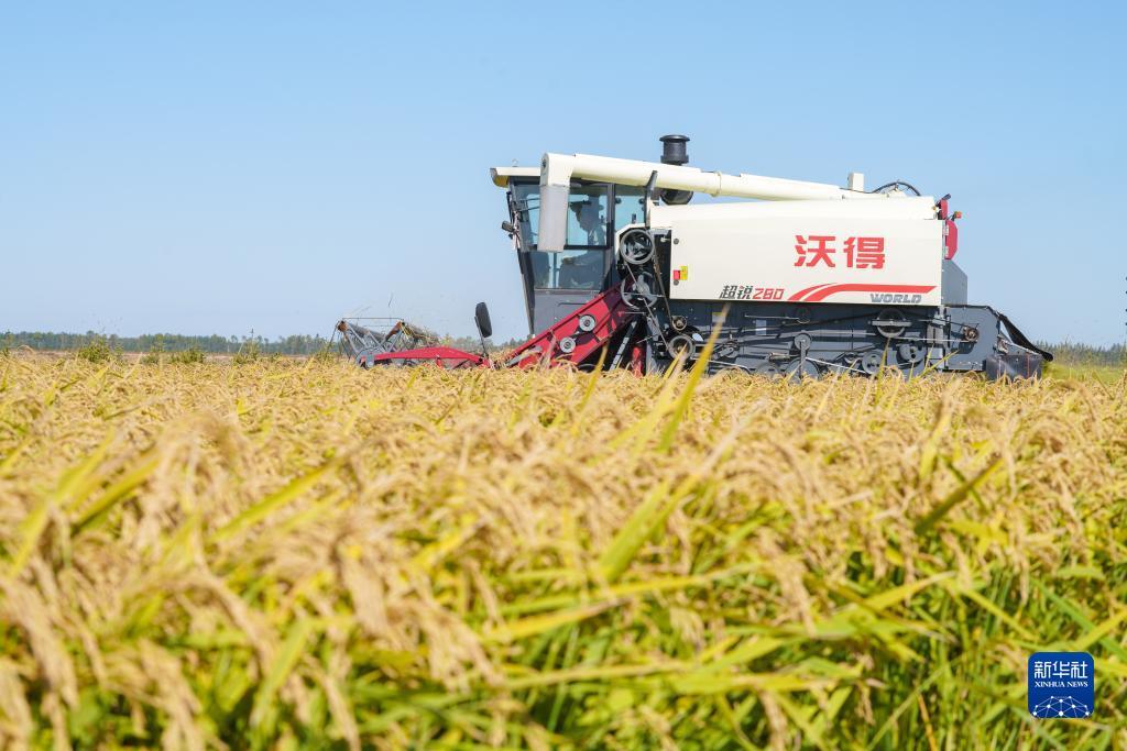 无门槛提现的红包游戏